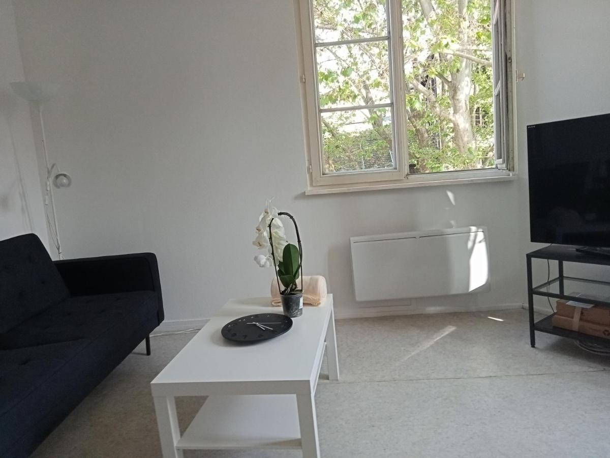 Au Coeur De La Petite France Apartamento Estrasburgo Exterior foto