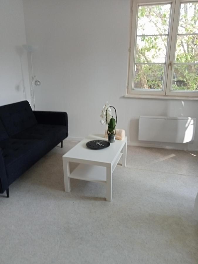 Au Coeur De La Petite France Apartamento Estrasburgo Exterior foto